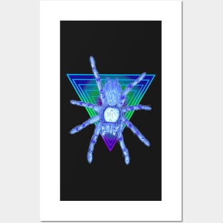 Tarantula “Vaporwave” Triangle V9 Posters and Art